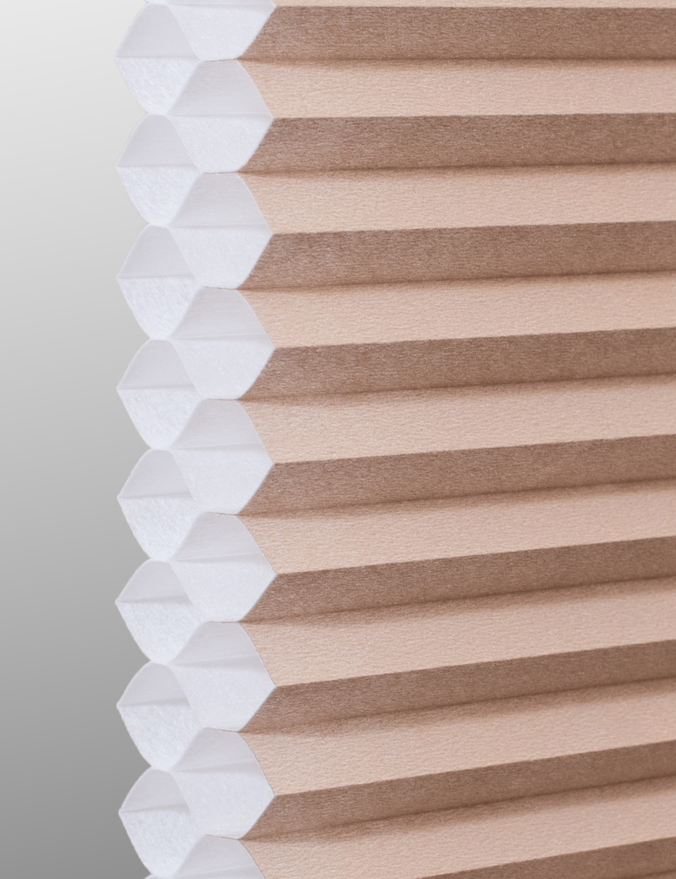 Pongee Double cell cellular shade fabric swatch