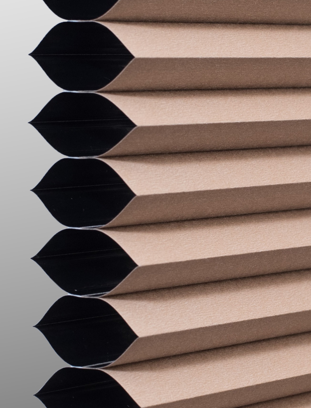 Pongee Single cell cellular shade fabric swatch