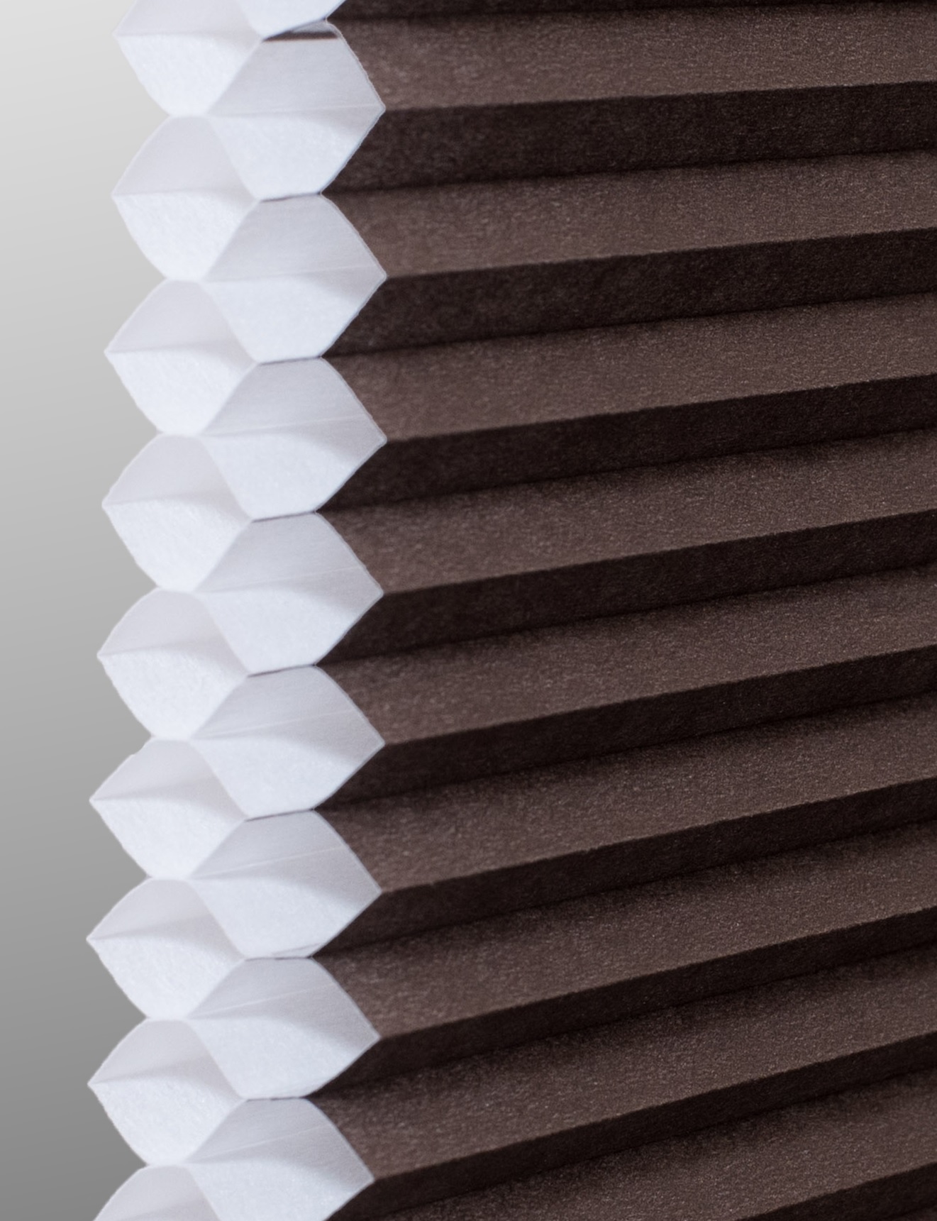 Dark Chocolate Double cell cellular shade fabric swatch