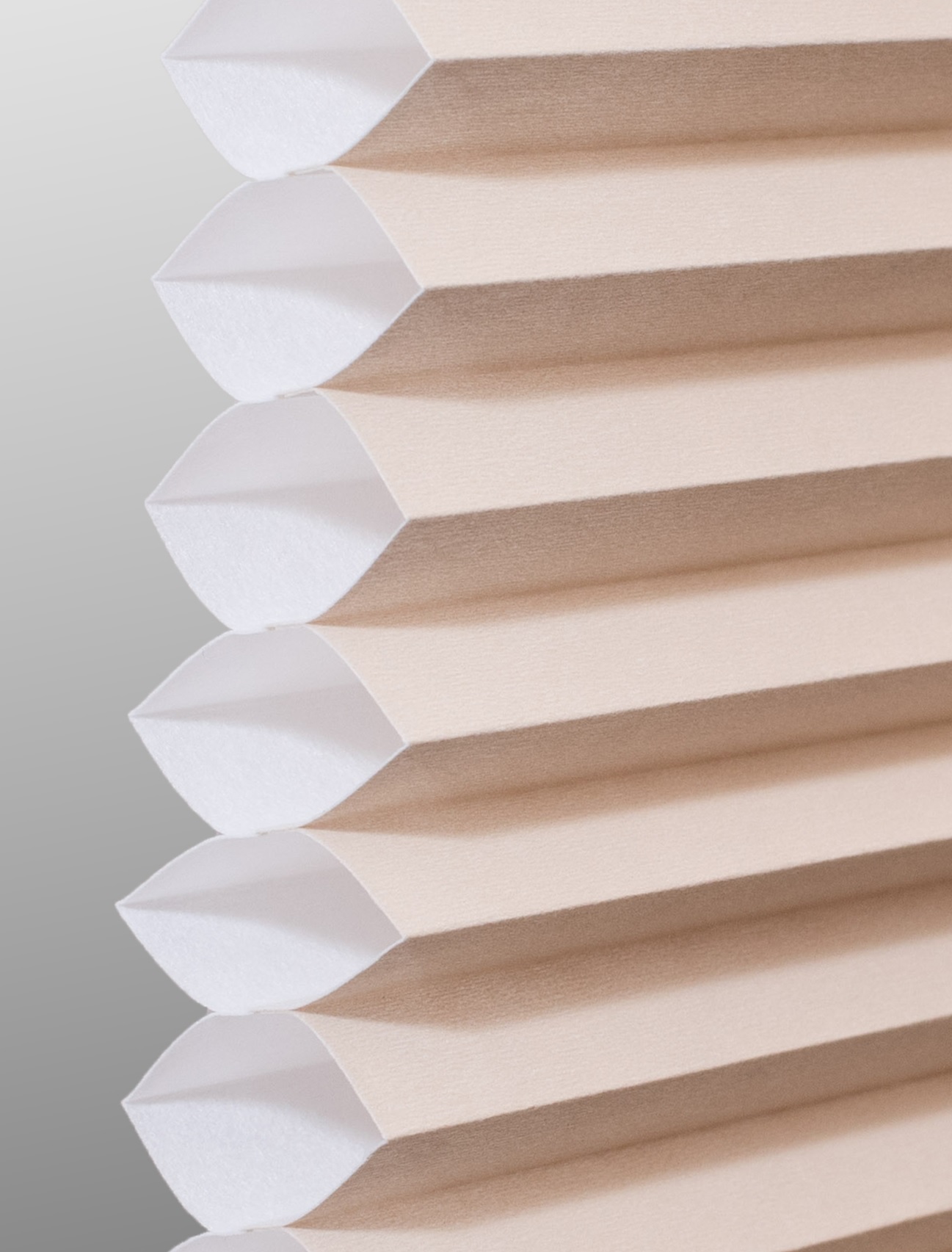 Cream Single cell cellular shade fabric swatch