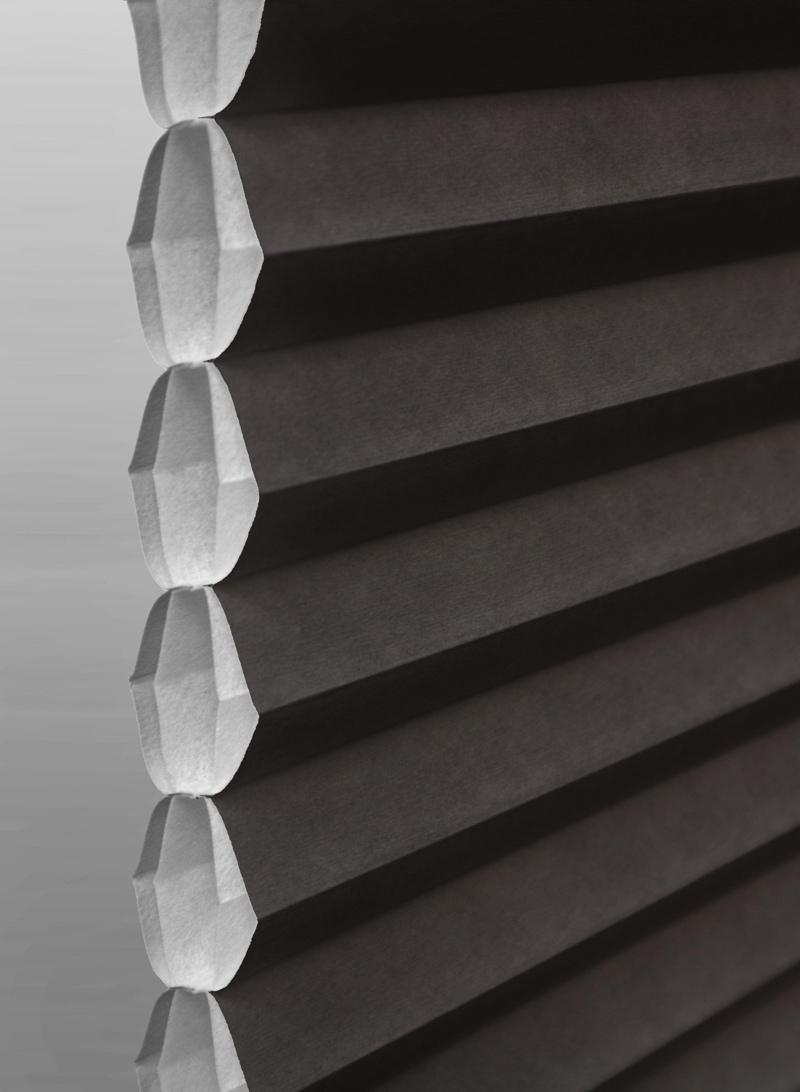 Black Cell-in-a-cell cellular shade fabric swatch