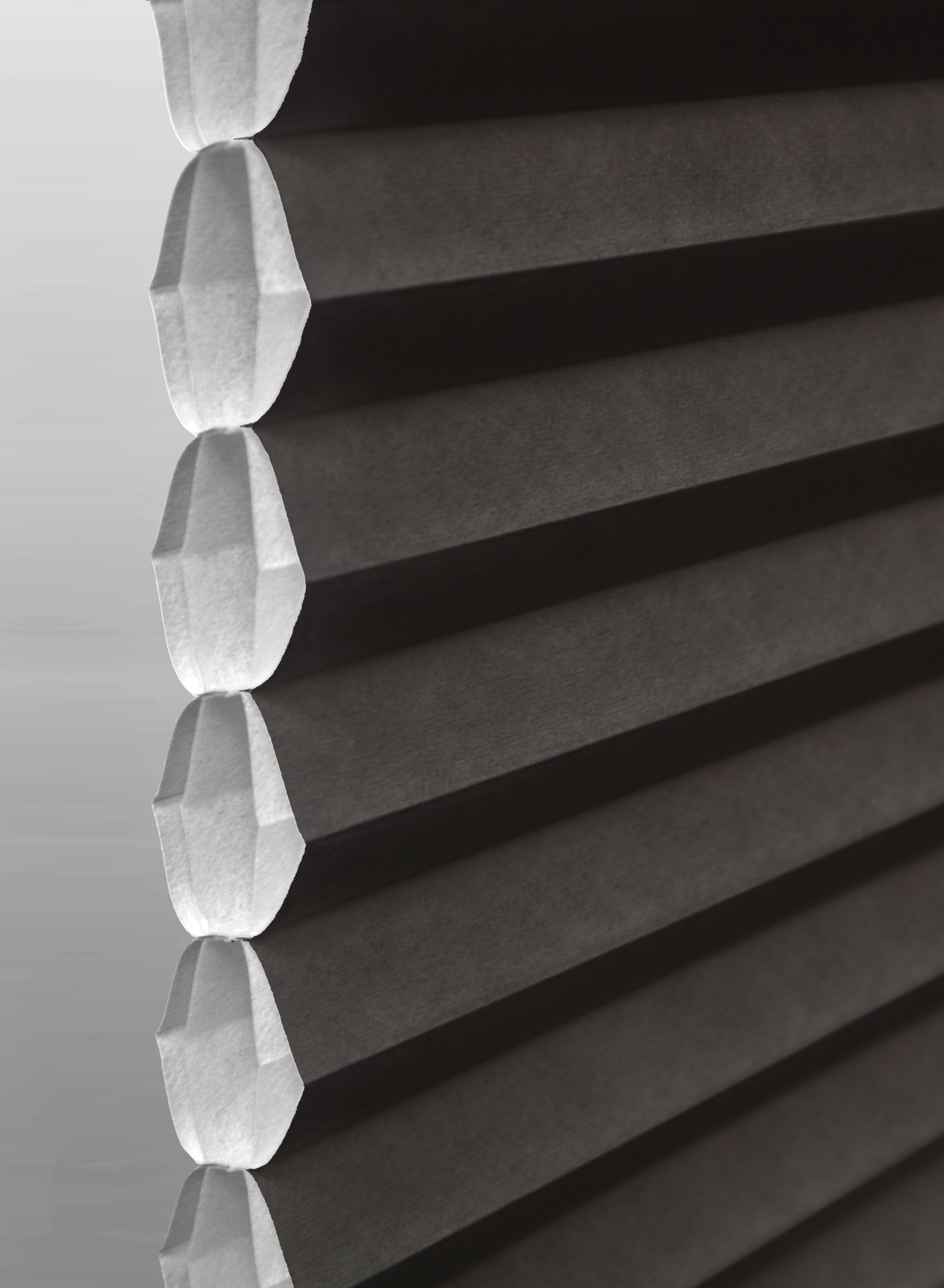 Black Cell-in-a-cell cellular shade fabric swatch