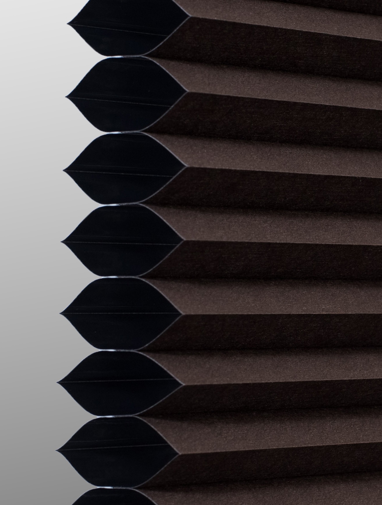 Dark Chocolate Single cell cellular shade fabric swatch