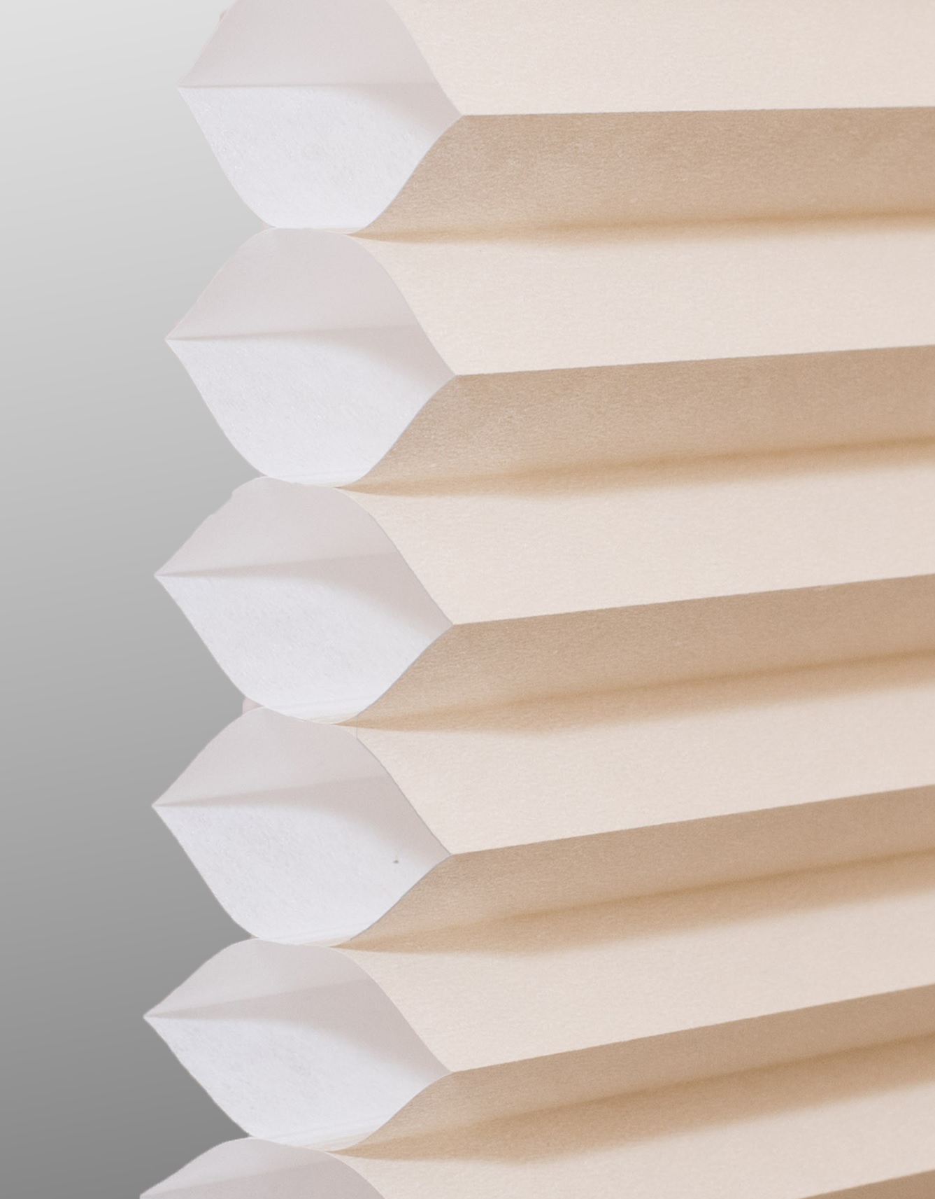 Cream Smooth cellular shade fabric swatch