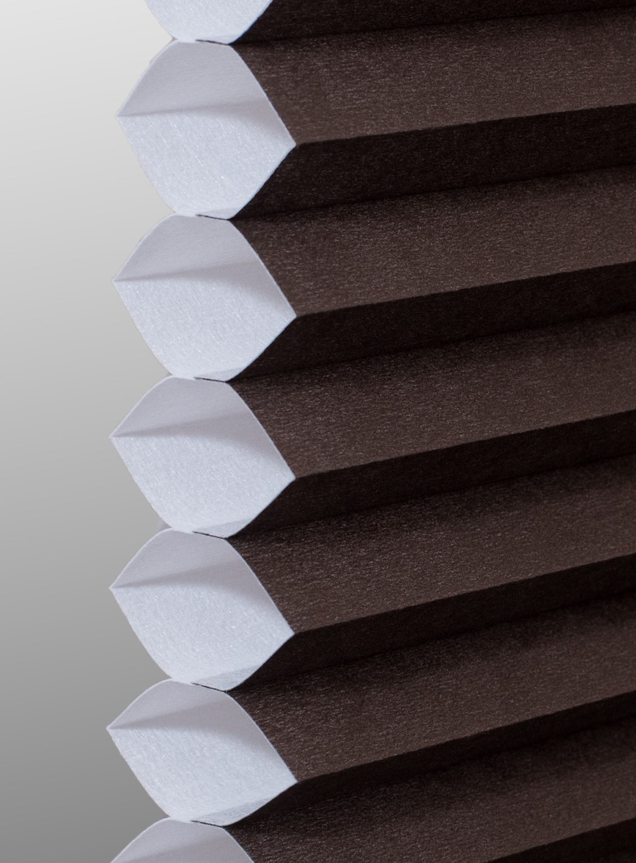 Dark Chocolate Single cell cellular shade fabric swatch