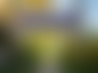 How a Hacker Stole 1.2 Million People’s Information From the University of Pennsylvania