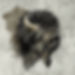 Untitled_Artwork.jpg