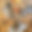 Thumbnail: Animalia Series Book - Softcover