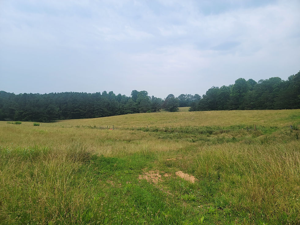 Let the Journey Begin