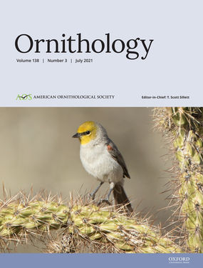 Phylogenomic analyses reveal non-monophyly of the antbird genera Herpsilochmus and Sakesphorus (Thamnophilidae), with description of a new genus for Herpsilochmus sellowi