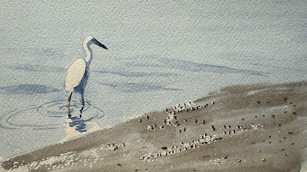 Watercolor class examples-3