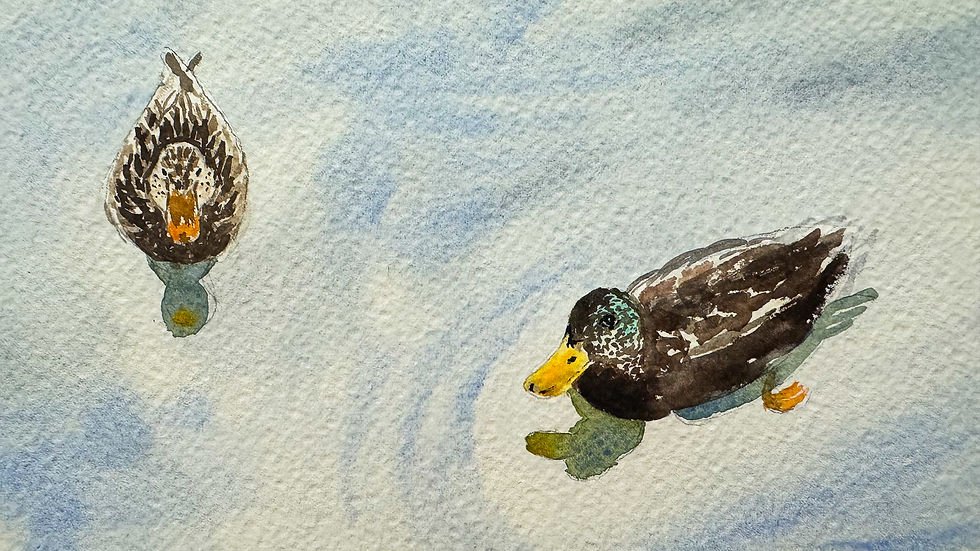 Watercolor class examples-6
