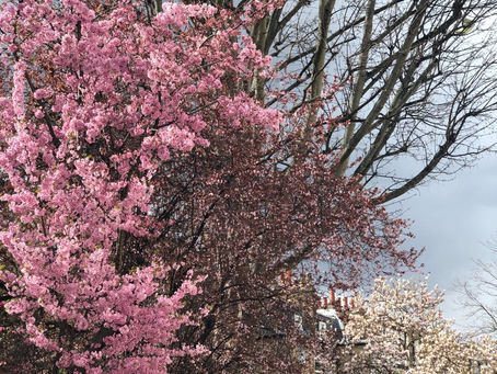 Spring Is Here! A Healthy Diet Can Help You Stay In Shape: Healthy Vending Machines in London