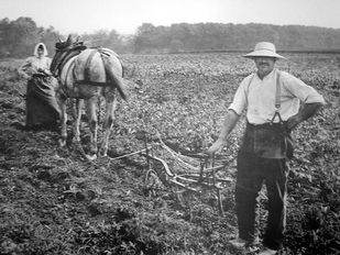 Nos métiers d’antan : le Journalier