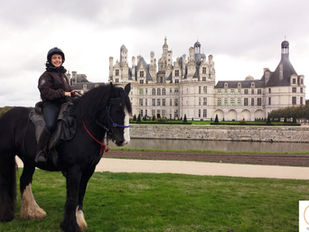 Le Cheval à la Renaissance