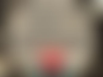 Offrez à vos proches une expérience unique au cœur de l'histoire française avec les visites guidées privatives des Châteaux de la Loire.