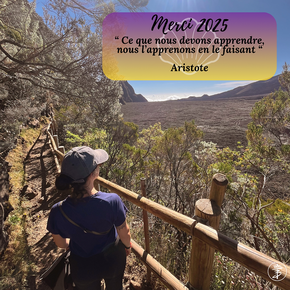 Bérénice Tarcher - Visites guidées - Merci 2023