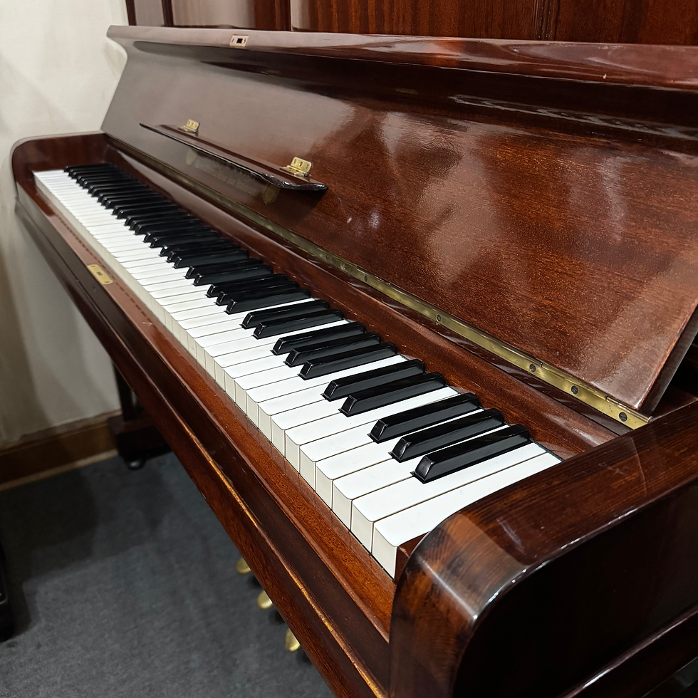Miniatura: Piano Vertical Rogs & Voigl
