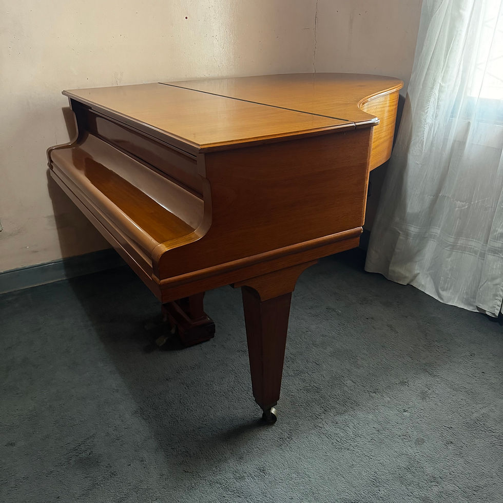 Piano 1/4 Cola Grotrian Steinmeg