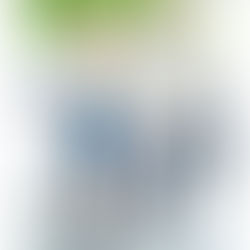 ロミーストリド　デニム編
