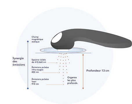 MANIKAVET-web-light (1)-2.png