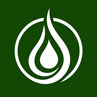 Yellow & Dark Green Logo.png