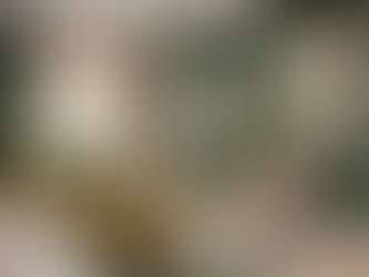 Professional Development in Counseling: Effective Techniques Revealed