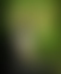 Dvalan av Camilla Grebe