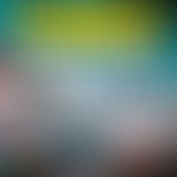 Stranden av Anna Breitholtz Monsén