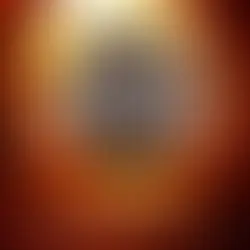 100 procent av Anders Roslund