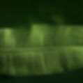 banana-leaf-page-background.jpg