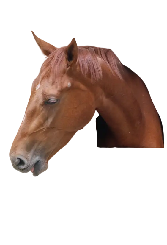 9c_edited.jpg