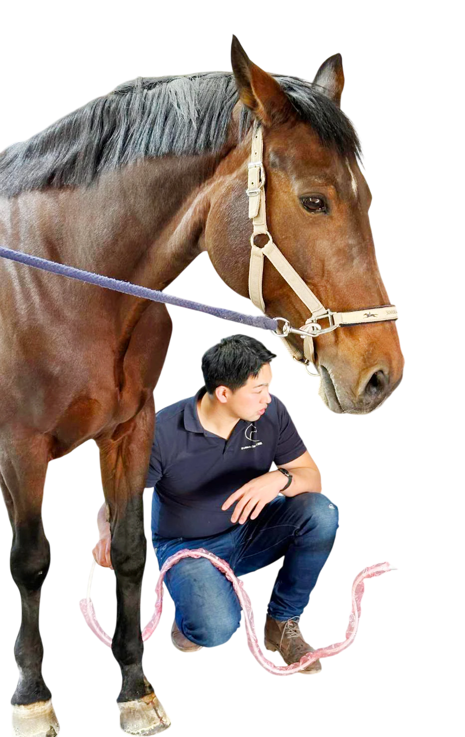 f6bfa3e6-c8af-4b3a-9e4b-32aa9cf0a4c7_edited.png