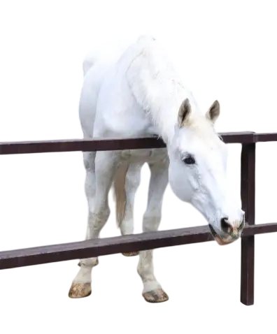 2_edited.jpg