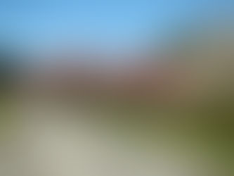 余里の一里花桃が入口付近で3分咲きになりました