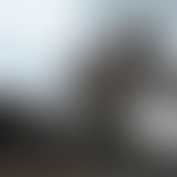 ○武石の花だより（4月15日時点）