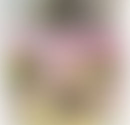 うつくしの湯 「早春物語」イベントを開催します!