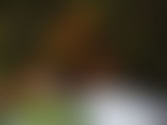 美ヶ原高原から眺める紅葉が、見頃となっています