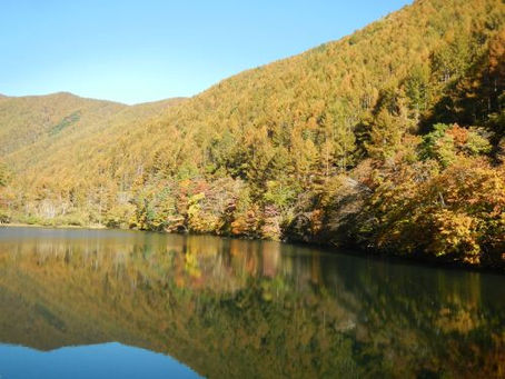 巣栗渓谷の紅葉が見頃を迎えています。