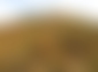 巣栗渓谷の紅葉が、見頃を迎えました