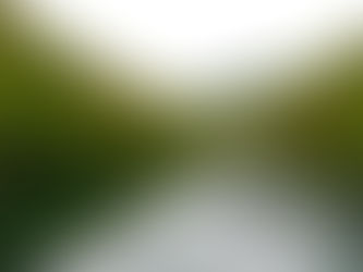 巣栗渓谷の紅葉が色づき始めました