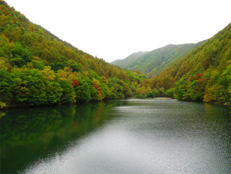 巣栗渓谷の紅葉が色づき始めました