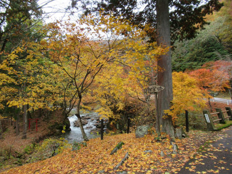 ○武石の紅葉だより（11月1５日時点）