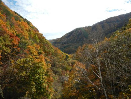 巣栗渓谷の紅葉が、まだまだ見頃です。