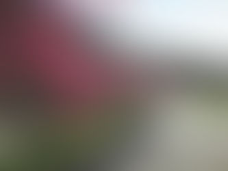 「信州武石余里一里花桃の里」入口付近の花桃が見頃を迎えます✿