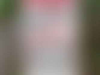 武石観光センターから美ヶ原高原自然保護センター及び松本市への通行規制について