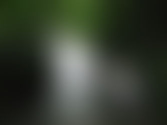 マイナスイオンたっぷりの水しぶきを浴びれる巣栗渓谷