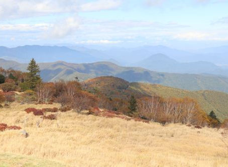 美ヶ原高原から眺める紅葉が、もうじき見頃をむかえそうです