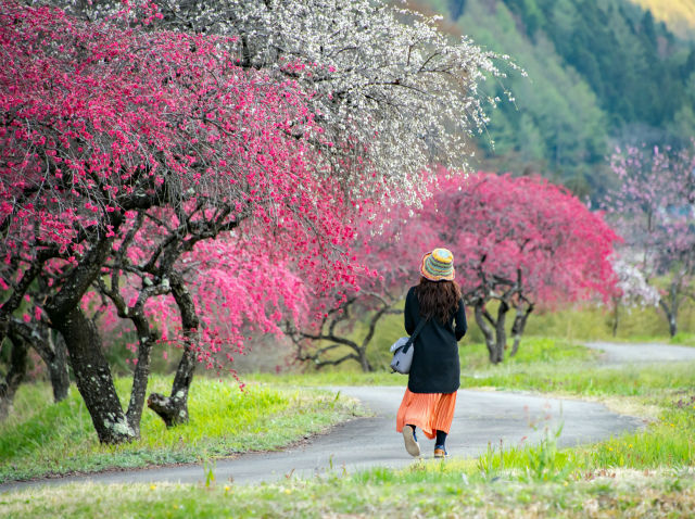 余里一理花桃の里
