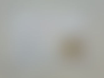 【木曜限定】武石番所ヶ原スキー場レストハウス~武石産そば粉の手打ちそば!~